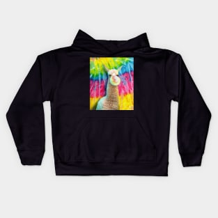 Tie Dye Llama Kids Hoodie